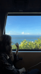 Train passenger gazes at ocean view near Huế