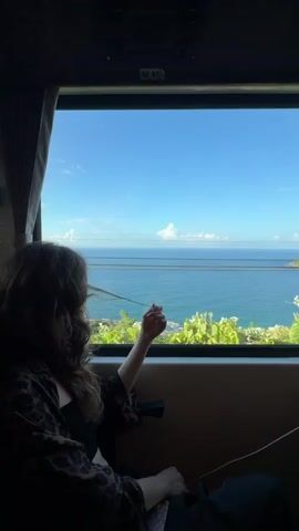 A young woman sits inside a train, looking out the window at the ocean. She has curly brown hair and is wearing a black top and a brown and black patterned jacket. Her hand is raised towards the window. Outside, the ocean stretches to the horizon under a clear blue sky with a few small clouds. Green foliage grows along the coastline. Powerlines are visible between the viewer and the water. The camera is static.