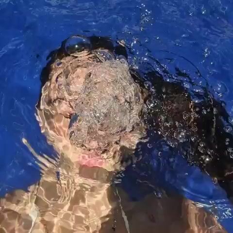 A young woman is in a pool. Initially, her face is underwater, with bubbles visible around her mouth. She then lifts her head above water, looking directly at the camera. Her hair is pulled back, and she wears visible mascara. She wears a white bikini top and a beaded necklace. The pool water is a deep blue. Lush greenery is visible in the background.