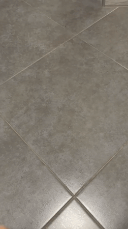 Grey cat spotted on tiled floor in Kaliningrad