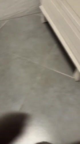 Grey cat spotted on tiled floor in Kaliningrad