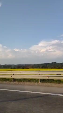 The video shows a roadside view of a field of bright yellow flowers under a blue sky with some clouds. A gray guardrail lines the road. In the distance, there's a treeline and what appears to be some houses. A powerline pole stands in the field. The camera angle suggests the video was taken from a moving vehicle.