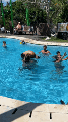 Group gathers in swimming pool, adult dunks another underwater