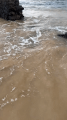 Ordinary beach day documented along Sri Lankan coast