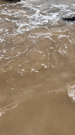 Ordinary beach day documented along Sri Lankan coast