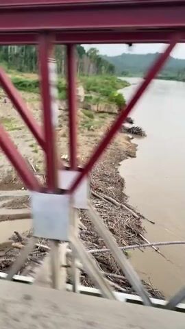 The video shows a view from a bridge crossing a muddy river. The bridge has red metal trusses. On the riverbanks, there is a lot of debris, including logs and branches, likely from a flood. The water is murky brown and flowing. On the far bank, there are trees, some appearing to be dead or damaged, and a hill covered in lush green vegetation, including palm trees. The sky is overcast. The camera appears to be moving, suggesting the video was taken from a vehicle crossing the bridge. There are no people clearly visible in the frame, though there are small figures in the distance on the bank in the first few seconds. The overall impression is one of a river affected by recent flooding.