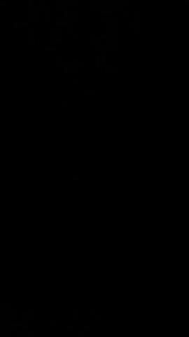 The video shows a black screen with no discernible subjects, objects, scene, or activity. The lack of visual information prevents any description of time of day, weather, location cues, or emotions. There is no visible text. The footage is entirely black, suggesting either a recording error, intentional obfuscation, or a placeholder.