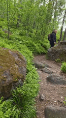 Hiker documents spring nature walk near Vyborg, Russia