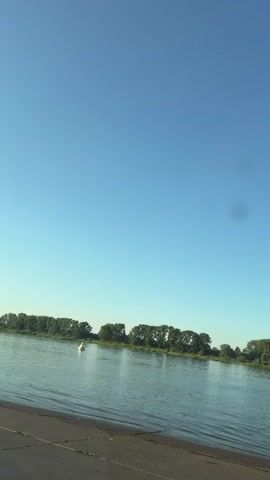 A wide, calm river is shown under a clear blue sky. The riverbanks are lined with dense trees. In the water, a white object, possibly a buoy or a bird, is visible. The foreground shows a dark, sloped surface that might be a ramp or a dock. The lighting suggests it is either early morning or late afternoon.