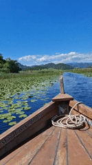 Boat journey recorded on tranquil Skadar Lake, Montenegro