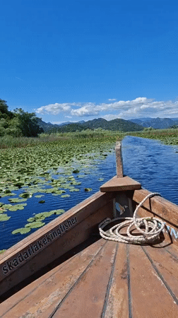 Boat journey recorded on tranquil Skadar Lake, Montenegro