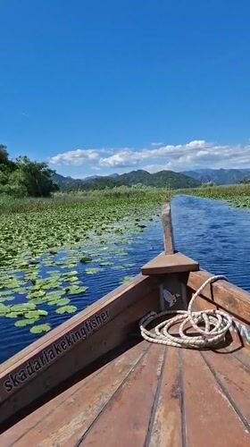 Boat journey recorded on tranquil Skadar Lake, Montenegro