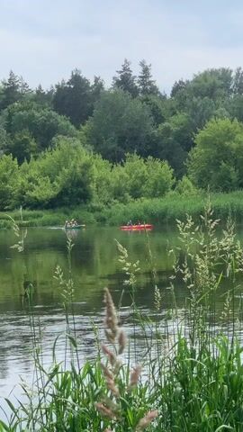 The video shows a serene natural scene with a body of water and lush green trees in the background. In the foreground, tall grass and reeds sway gently. On the water, there are two kayaks. The first kayak, on the left, is green and has multiple people inside. The second kayak, on the right, is red and also appears to have multiple people. Both kayaks are moving across the water, suggesting a leisurely outing or activity. The overall atmosphere is peaceful and idyllic, with the calm water reflecting the surrounding greenery.