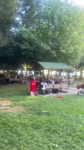 This video captures a glimpse of an outdoor area, likely a park or playground, on a sunny day. In the foreground, a grassy lawn is visible, with a paved walkway curving through it. To the left, a group of people are seated at tables under a covered structure, enjoying a meal or conversation. A person in a red dress is walking away from the tables. In the middle ground, a stroller with a pink blanket is parked. Further back, a playground area is active, with children and adults interacting. A statue of a cartoon character stands prominently in the playground, and a slide structure is also visible. The background consists of trees and a tall apartment building. The overall impression is of a relaxed, communal outdoor space being utilized by families.
