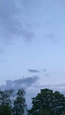 The video shows a sky with light blue and gray clouds, framed by the silhouettes of trees. The trees are visible at the bottom of the frame, with varying shades of green suggesting different types of foliage.