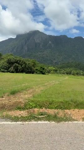 The video pans across a lush green landscape dominated by a large, misty mountain in the background. In the foreground, a paved road runs horizontally, with a grassy verge. Beyond the verge, there's a vast, flat field of green crops, likely rice paddies. Scattered trees and small structures, possibly houses or sheds, are visible in the middle ground. The sky is a bright blue with fluffy white clouds. The camera appears to be mounted on a moving vehicle, possibly a motorcycle, as evidenced by the partial view of a red handlebar and a person's hand in the lower right corner of the frame. The overall scene depicts a rural, mountainous environment during the daytime, with signs of agricultural activity and a sense of travel.