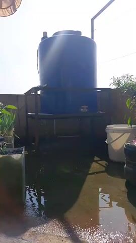 A blue water tank is elevated on a metal stand on a rooftop. Water is dripping from a pipe connected to the tank, creating puddles on the rooftop floor. There are plants in pots and buckets around the area. The sky is bright and sunny.