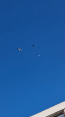 Daylight moon and seagulls observed over Ahtopol pool area