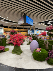 Morning Transit Through Sofia Airport Documented by Traveler