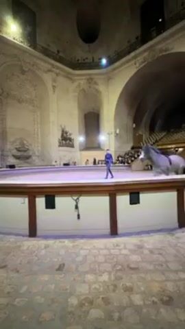 The video shows a light gray horse and a person inside a rounded arena with light sand. The arena is surrounded by a low, brown and white wooden wall. The stone-tiled floor in the foreground gives way to the arena, which is lit from above. The person walks around the arena with a long dark stick in hand. The arena is built within an ancient building with high arches, balconies, and detailed carvings on the walls. Seated spectators line the far right side of the arena in tiered seating. The person appears to be training or guiding the horse to perform.