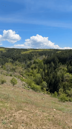 Spring landscape documented in Podgumer Bulgaria countryside
