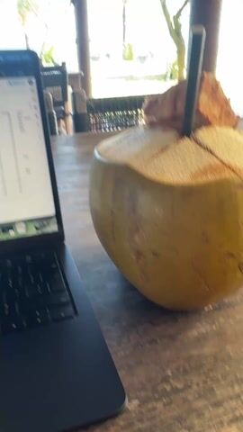 The video shows a person working on a laptop while sitting at a table on a covered patio or deck. Next to the laptop is a fresh coconut with a straw in it. Through the open space of the patio, there's a view of a grassy area leading to a sandy beach and the ocean under a clear blue sky. Several sets of tables and chairs are placed on the lawn and the beach. The laptop screen displays a spreadsheet with rows of data. The atmosphere appears to be relaxed and sunny.