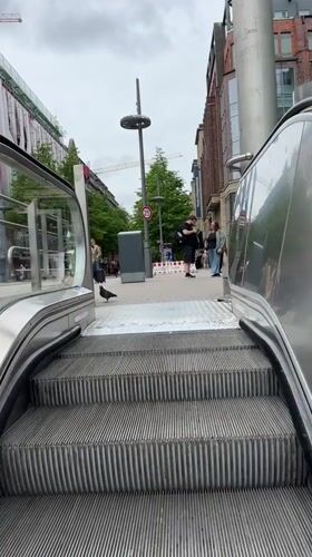 Morning commute documented across Hamburg's transit system and neighborhoods