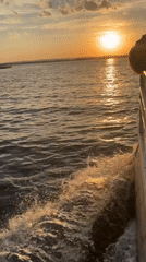 Cormorants and a passing boat at sunset on Shumeika water