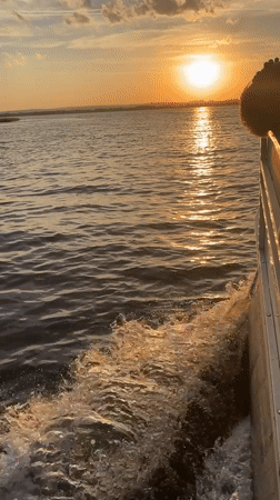 Cormorants and a passing boat at sunset on Shumeika water