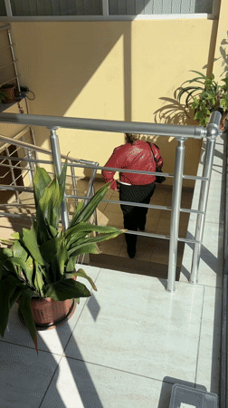 Morning moments captured across Tbilisi suburban areas