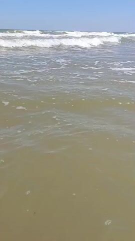 The video shows a view of the ocean from the shore. The water is murky green and appears shallow. Gentle waves are breaking in the distance. The sky is clear and blue. The shot is static and taken from a low angle, close to the water's surface. There are no people or objects visible in the frame.
