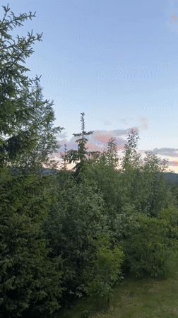 Quiet summer dusk at a rural home in Åmot, Norway