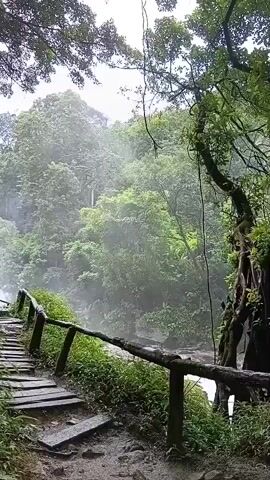 A wooden staircase with a rustic wooden railing leads up a lush green hillside towards a waterfall. The staircase is made of weathered wooden planks, and the railing is constructed from roughly hewn branches. Dense green foliage, including ferns and vines, grows on either side of the path. The waterfall is visible in the distance, surrounded by mist and more greenery. The sky above is overcast, casting a soft light on the scene.