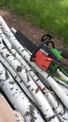 The camera looks down on a pile of white birch logs, over which a chainsaw is lying. The chainsaw is mostly orange with green accents. Next to the logs is a tire lying on the ground. Green grass is visible in the background.