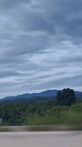 This is a vertical, landscape video with a view of rolling hills and a cloudy sky. The foreground shows a blurred road or surface, suggesting movement. A line of palm trees and lush green vegetation stretches across the middle ground, with glimpses of houses and buildings interspersed. In the background, layers of blue-hued mountains recede into the distance under a heavy, overcast sky filled with gray clouds. The overall impression is one of travel through a rural, possibly tropical, environment on a cloudy day.