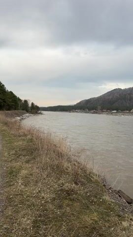 A wide, murky river flows across the frame under an overcast sky in Abaza, Russia. The water, a brown-grey hue, appears turbulent and powerful, suggesting a strong current. On the near bank, dry, straw-colored grasses and bare branches line the water's edge, indicating early spring or late autumn. The camera slowly pans from left to right, revealing the expansive landscape.

Across the river, a small settlement or village is visible, with several houses clustered at the base of a forested mountain range. The houses feature various colored roofs, with some appearing blue or red. The mountains rise steeply, covered primarily in coniferous trees, though some rocky outcrops are also visible. In the distance, towards the right side of the frame, glimpses of power lines or utility poles can be seen against the muted sky. The overall atmosphere is serene and somewhat somber due to the cloudy weather and subdued color palette. No people or visible text are present in the video.