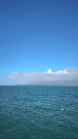 A vertical video shows a view from a boat on the ocean. The water is a deep teal color with small waves. The horizon is lined with a distant landmass that appears to be mountainous. White clouds are scattered across a clear blue sky. A fishing rod is visible protruding from the side of the boat. A large ship is seen in the distance on the right side of the frame. The boat's railing, which is blue, is in the foreground.