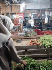 Fresh produce browsing at a local indoor market in Indonesia