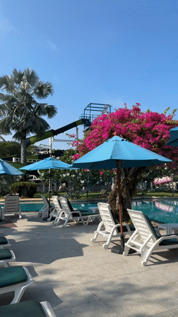 Resort pool area documented in Patong, Thailand