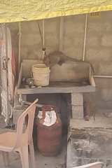 Monkey leaps from concrete structure in Puttaparthi, India