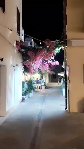 This video captures a serene evening scene in a narrow street, likely in San Vito Lo Capo, Italy, as suggested by the location context. The time of day is clearly night, with a dark sky and the warm glow of string lights illuminating the pathway and the vibrant pink bougainvillea cascading from above.

The street itself appears to be a pedestrian walkway, lined with white potted plants and greenery on either side, contributing to a charming and inviting atmosphere. On the left, a building with a white facade features a dark-framed window and an open doorway. On the right, another building with a cream-colored facade is visible, with a vertical black pipe running down its side.

Several people are present, engaged in casual activities. In the mid-ground, a couple stands near a small stand or cart, seemingly browsing or interacting with someone behind it. Further down the street, a few more individuals are walking, suggesting a relaxed evening stroll. The overall mood is tranquil and peaceful, enhanced by the soft lighting and the lush floral display.

One notable detail is a sign above the stand where the couple is standing, which appears to read "Gelato." This detail, combined with the evening ambiance and outdoor setting, hints at a leisurely night out, possibly enjoying dessert. The presence of potted plants and decorative lights suggests a well-maintained and aesthetically pleasing area, common in tourist destinations. The weather appears to be pleasant, as people are outdoors and dressed in light clothing.