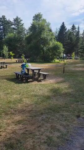 The video shows a picnic area with several picnic tables scattered across a grassy lawn. Tall green trees form a backdrop, and the sky is partly cloudy. In the foreground, a single picnic table with attached benches is prominent. Further back, other picnic tables are visible, some occupied by people. A paved path runs through the area, and a few individuals are walking along it. The general atmosphere appears to be relaxed and recreational.