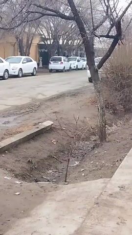 The video shows a street scene on a cloudy day. Several white cars are parked along the street, adjacent to buildings. A bare tree stands near the sidewalk, and a muddy ditch runs alongside. A person walks on the sidewalk toward the camera. There's a slight audio background of music.