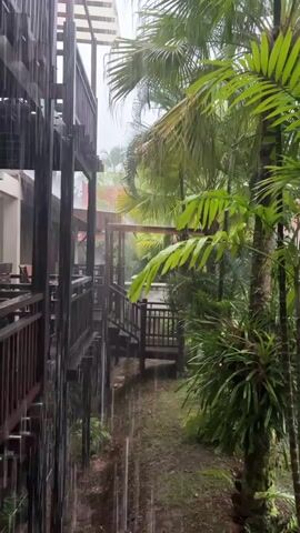 The video shows a close-up view of heavy rain falling on a tropical environment. On the left side of the frame, a wooden building with balconies and railings is visible, with rain streaking down its surfaces. A pathway leads away from the building into a lush garden filled with palm trees and other tropical vegetation. The ground is wet and appears to be covered in grass and dirt. In the background, a swimming pool is visible, with its surface rippling from the rain. The overall atmosphere is one of a downpour in a humid, tropical setting.