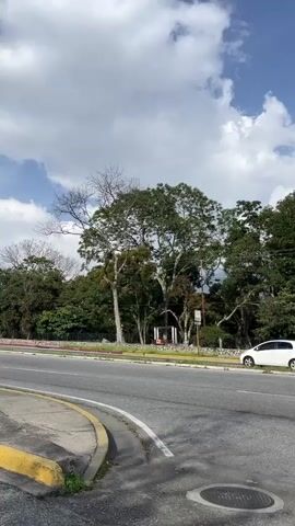 This media file captures a roadside scene in Mérida, Venezuela, under a partly cloudy sky. The time appears to be daytime, likely late morning or early afternoon, given the quality of light. Lush green trees line the background, interspersed with some bare branches of deciduous trees, suggesting a transition between seasons or a natural landscape feature. A paved road takes up the foreground, with a yellow-lined curve on the left. A manhole cover is visible on the asphalt.

A white hatchback car is parked on the side of the road, near a cluster of trees. Further down the road, a black car is also visible, and a white sedan with yellow markings that suggests it might be a taxi. A distant view of mountains or hills can be seen through the trees, hinting at the mountainous terrain of Mérida. There is a sense of calm and everyday activity, with no overt signs of urgency or excitement. The presence of trees and the relatively clear road suggest an area that is not heavily urbanized, possibly on the outskirts of the city or a more suburban stretch. No people are clearly visible, except for a faint figure walking on the far right. The overall impression is one of a typical day in a scenic, natural environment bordering a roadway.