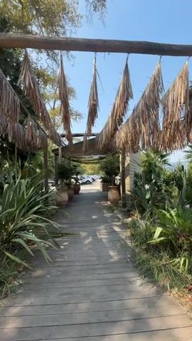 The video shows a wooden pathway leading through an outdoor area with a covered walkway overhead. The walkway is decorated with dried palm fronds. Potted plants, including what appear to be olive trees and other greenery, line the path. In the background, cars are visible in a parking lot. The sky is clear and blue. The overall impression is of a relaxed, natural, and somewhat rustic outdoor setting, possibly a restaurant or resort entrance. There are no people clearly visible in the frame.