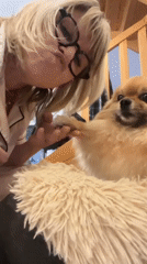 Woman documents cozy evening with pets in French home
