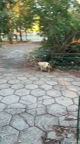 Burgas, Bulgaria