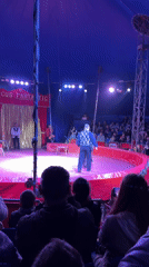 Bear performs circus acts at Circus Fantastic in Chernogolovka
