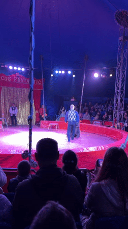 Bear performs circus acts at Circus Fantastic in Chernogolovka